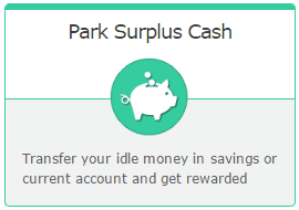 Park Surplus Cash